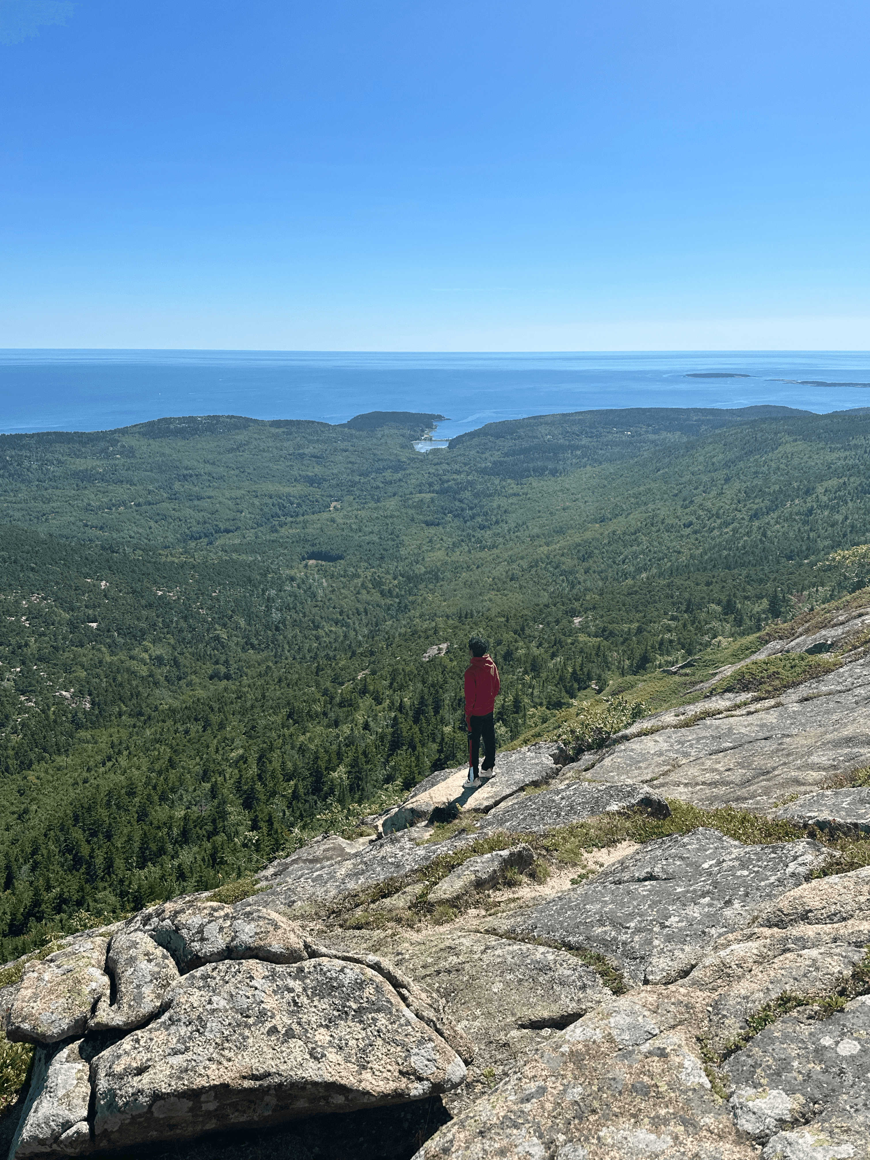 Exploring National Parks 🏞️